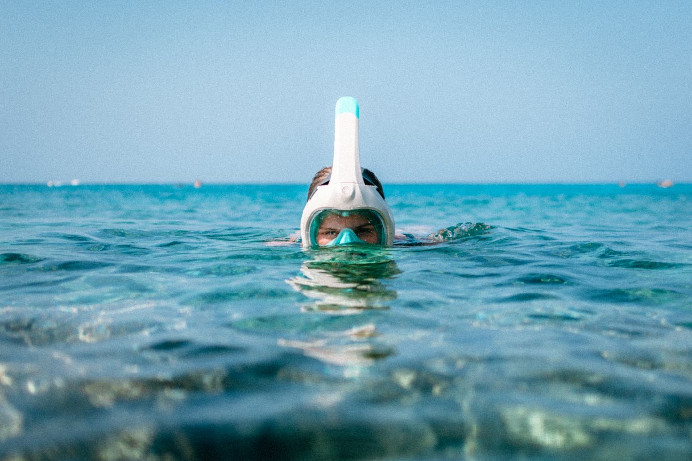 A snorkeller at the surface in clear shallow water