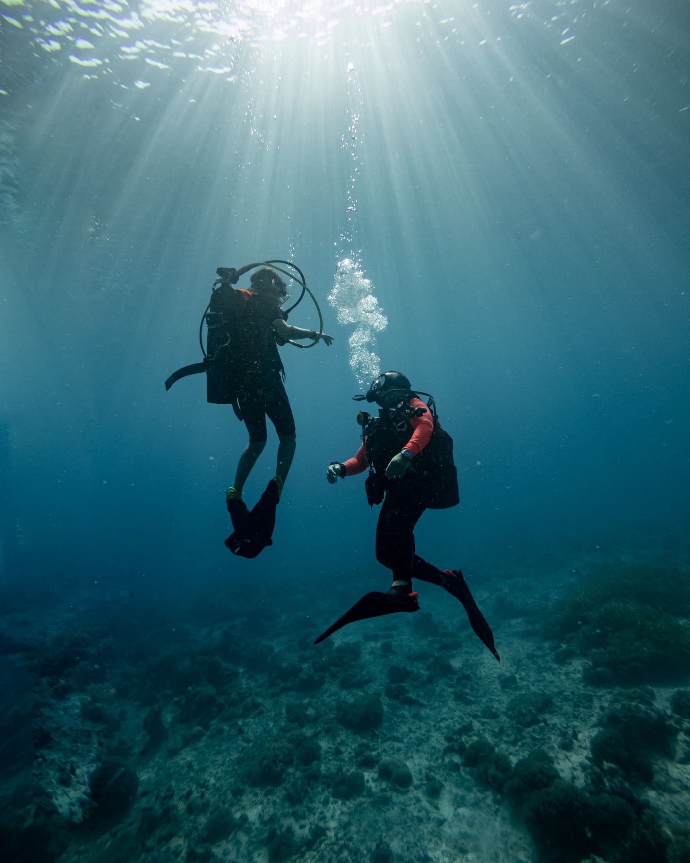 A diver silhouetted in shafts of sunlight over a sandy seabed