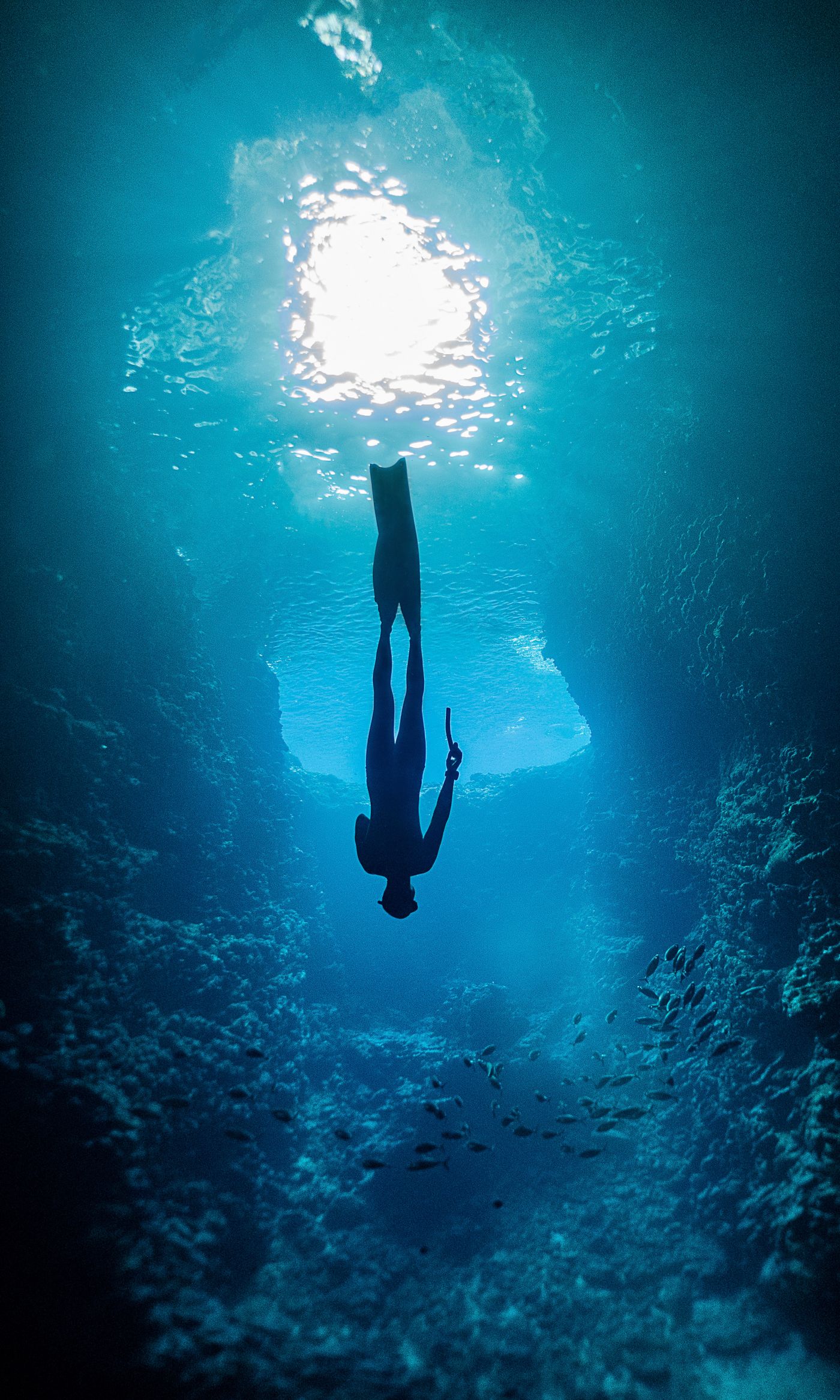 A freediver descending head-first into deep blue water